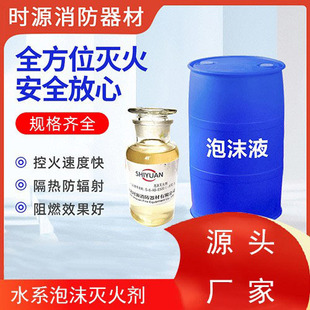 Water Foam Fire Extinguisher S-3-Ab-E500/S-6-Ab-E500/S-10-Ab-E500