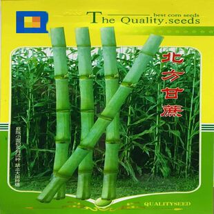 ������U�N�Ӵ����＾�������֭ˮ����������ѱ�����U����N��