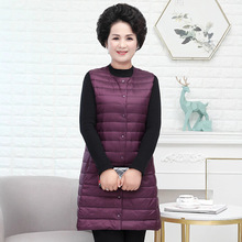 2025�������p����q���A�I��đŮ���b�R�����L��ȴ��a��������