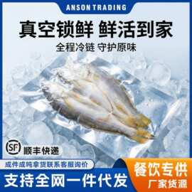 开肚小黄鱼新鲜海捕冷冻小黄鱼深海鱼鲜活海鲜水产批货商用免处理