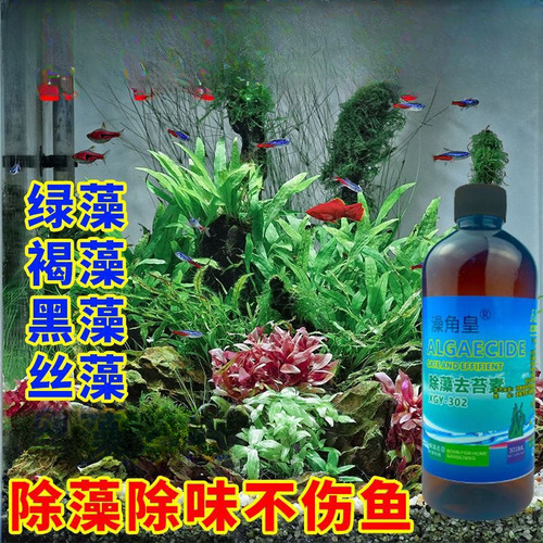 Fish tank algae remover green algae removal agent blue moss killer algaecide for goldfish pond green water brown algae thread black beard algae remover