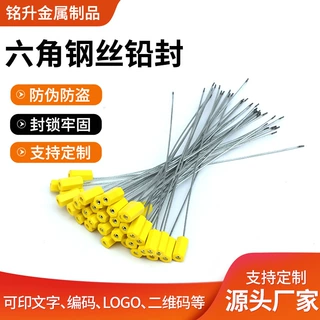 定制一次性钢丝铅封物流货运封车条阀门水电表封签防拆扣施封锁