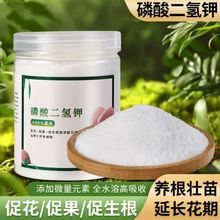 叶面肥农业肥有机肥植物生长调节剂 高效磷酸二氢钾 厂家批发代发