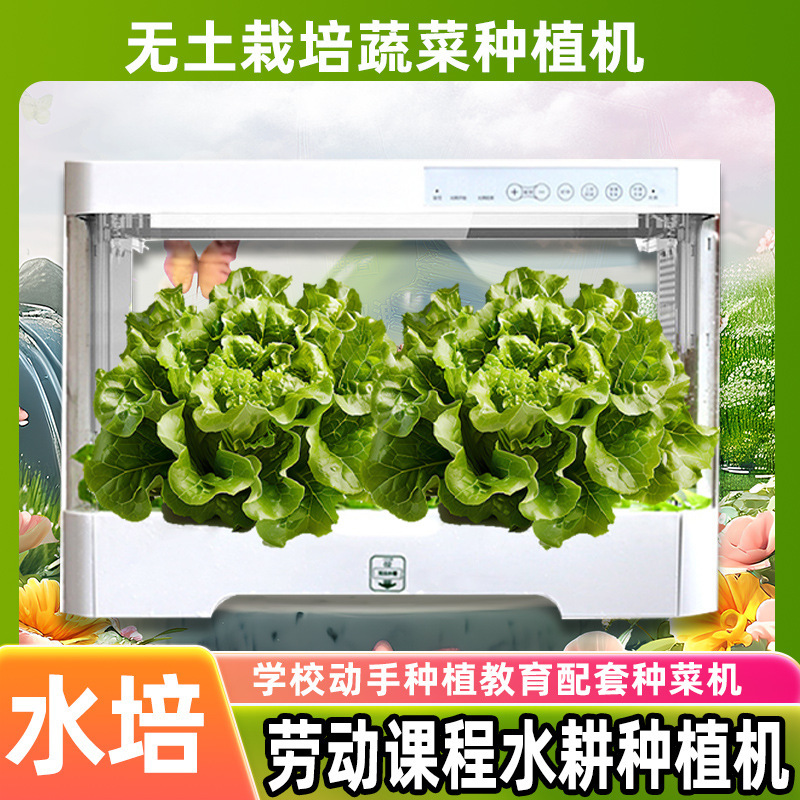 Andy's Same Model Smart Vegetable Growing Machine Hydroponic Planting Box Soilless Cultivation Cross-Border Home Vegetable Planting Balcony Garden