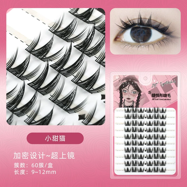 60 clusters of small sweet cat eyelashes
