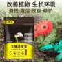 微生物活化土壤复合肥土壤