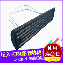 品牌工厂供应进口陶土产瓷电热片、陶瓷发热片240X80功率650W