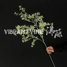 ����Gֲ��֦���㻨 ��Y�õ��·���bٻ�����dܛ�b�G�~�~��