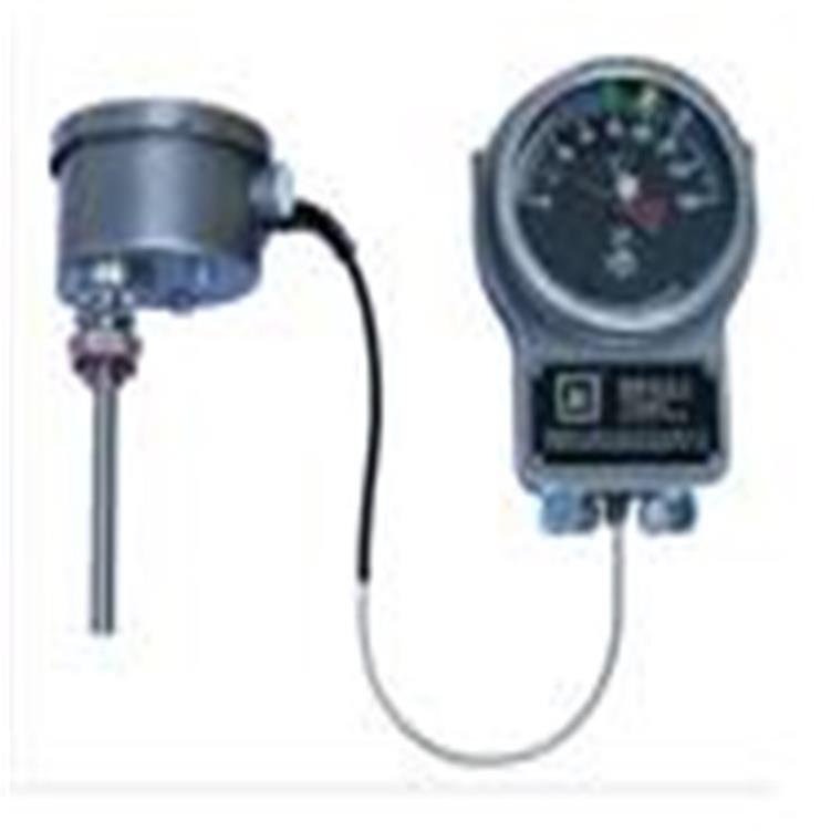 绕组温控器（圆形表6米线） 型号:LD69/BWR-4D库号：M395444