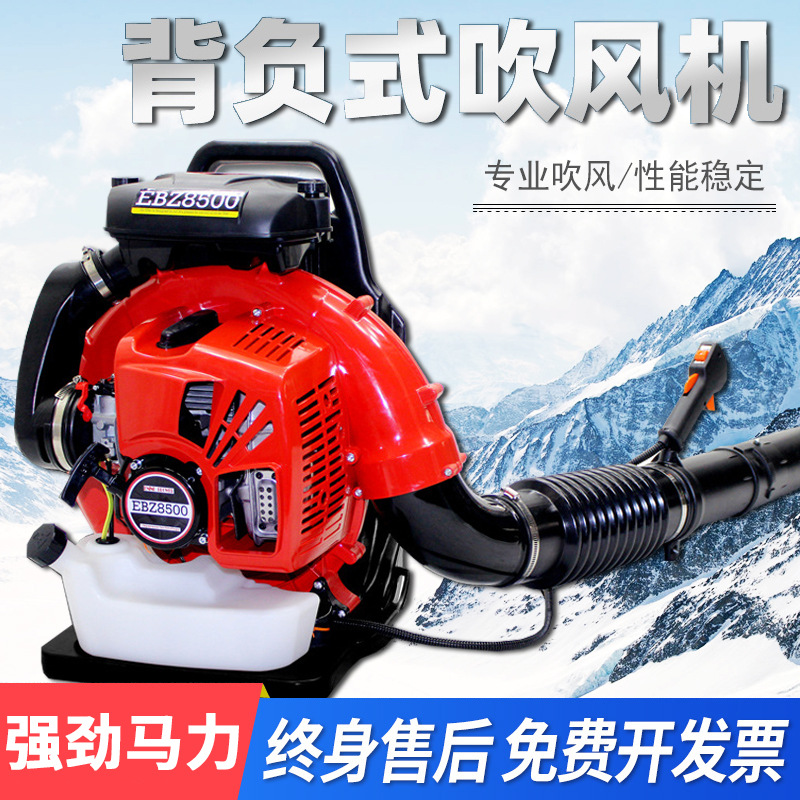 secador de pelo industrial secador de pelo de jardín secador de nieve eléctrico transfronterizo soplador de hojas soplador de litio carga de alta potencia