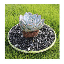 BˮϴZʯ ͹ŻʯӻˢʯЧb