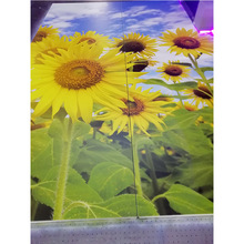 江门 中山 顺德不锈钢UV数码彩印，铝板喷画，不锈钢喷绘金属印刷