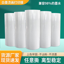 dtfCĤ˺p憡īCӡĤ30cm/60cmpetDӡĤ