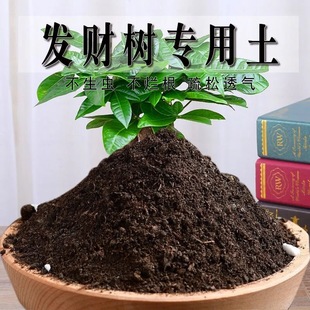 Money Tree Soil, Money Tree Nutrient Soil, General-Purpose Household Planting Soil, Green Plant Organic Soil