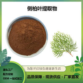 侧柏叶提取物食品级原料水溶性侧柏叶粉多规格 现货包邮