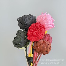洋蓟永生花真花干花干枝插花室内装饰插花摆件diy手工