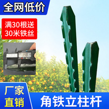 ���������U�����F�z�W�������������PY���T�F���^��֧�ΗU���ټ�