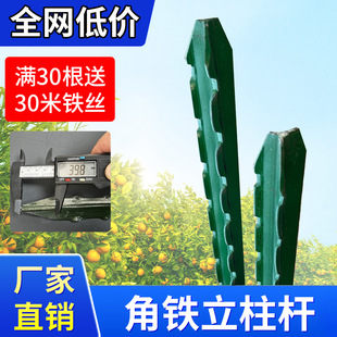 ���������U�����F�z�W�������������PY���T�F���^��֧�ΗU���ټ�