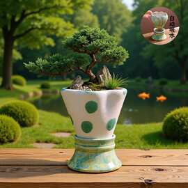 陶瓷开片中式瓷盆简约禅意风格室内文竹菖蒲微盆景土培透气专用盆