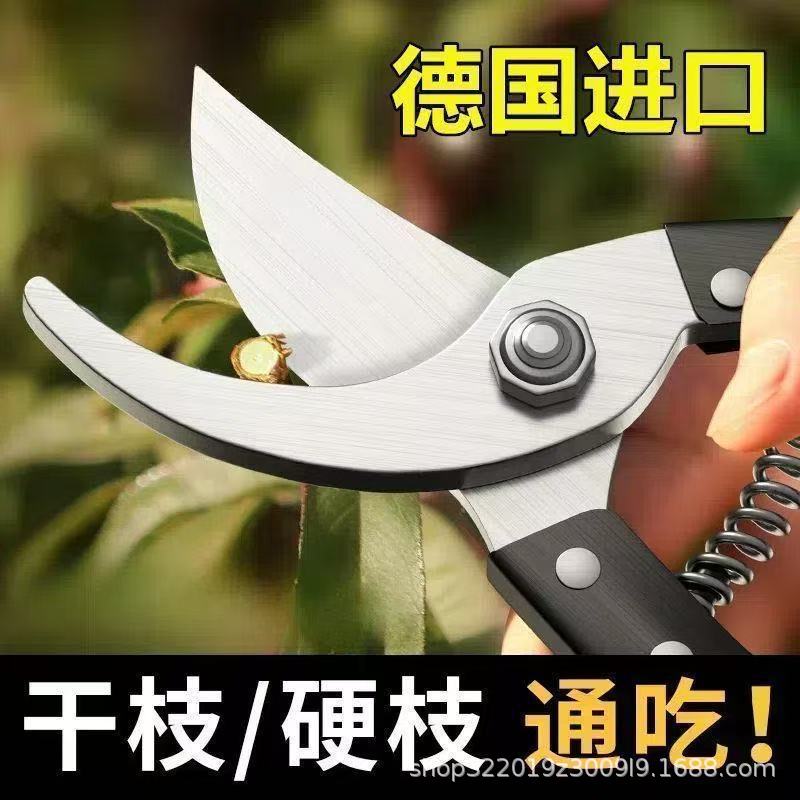 微信图片_20250918103801.jpg
