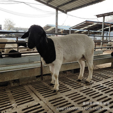 dķֳ ^Ųd򎧸1-2^̥ 3