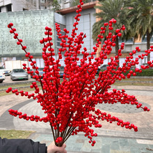 �¿��������t�� �tɫ�������� �tɫ����Ͱ��Ͱ���bٻ����l