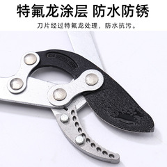 廠家批發大力剪粗枝剪伸縮園藝剪刀果樹綠化修枝剪外貿園林工具剪