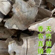 海南香料边角料沉香木樟木天然香木碎料沉香虫原木香熏散装香樟舒