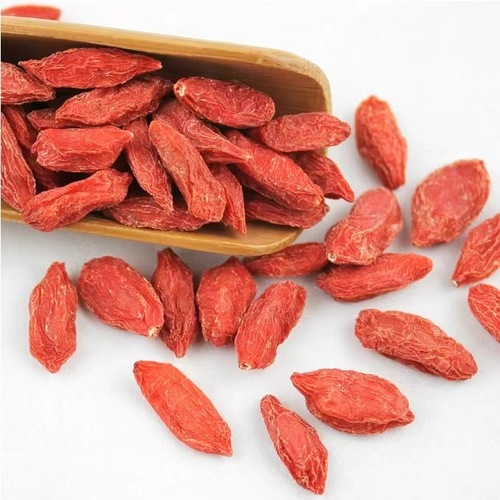 New arrival 500 grams per jin Ningxia special grade goji berries from manufacturer Gouqi wholesale goji berries