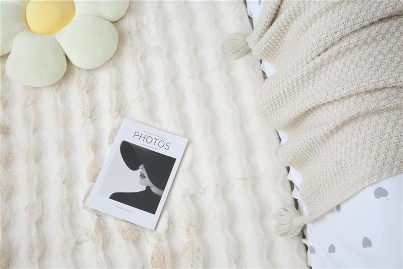 Ins Cream Style Scandinavian Plush Winter Thick Living Room Coffee Table Blanket Carpet Bay Window Tatami Bedroom Bedside Blanket