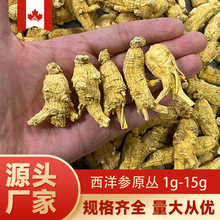 ���l���ô�����ԭ�����g�υ���֦���x�F؛����r���M��