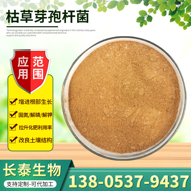 200亿/克枯草芽孢杆菌 水产养殖用调水净水活菌 微生物菌剂EM菌