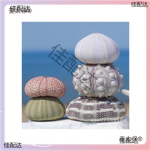 ?�S�����l��Ȼؐ�����ݹ�ˇƷϵ�ж���ߴ纣đ���������̫��