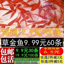 �ݽ��~���w�^�p�~��ˮ�\��С���~���~������β�~�J���~����~���]