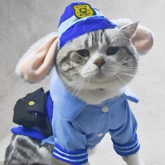ペット猫犬かわいい変身ウサギ保安官服四季cosシャツ中小型犬猫犬