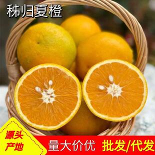 ����ե֭���[���������w�ĳ��̲�������r������֭��ζˮ�����l