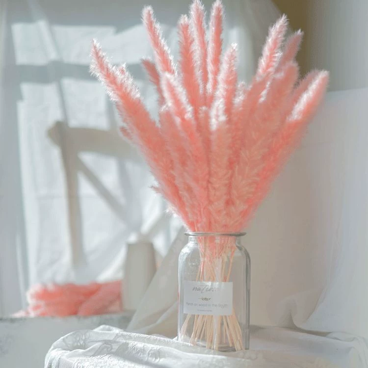 Натуральный тростник трава розовые сушеные цветы навсегда цветы букет ручной работы DIY упаковка реквизит для съемки декоративные украшения