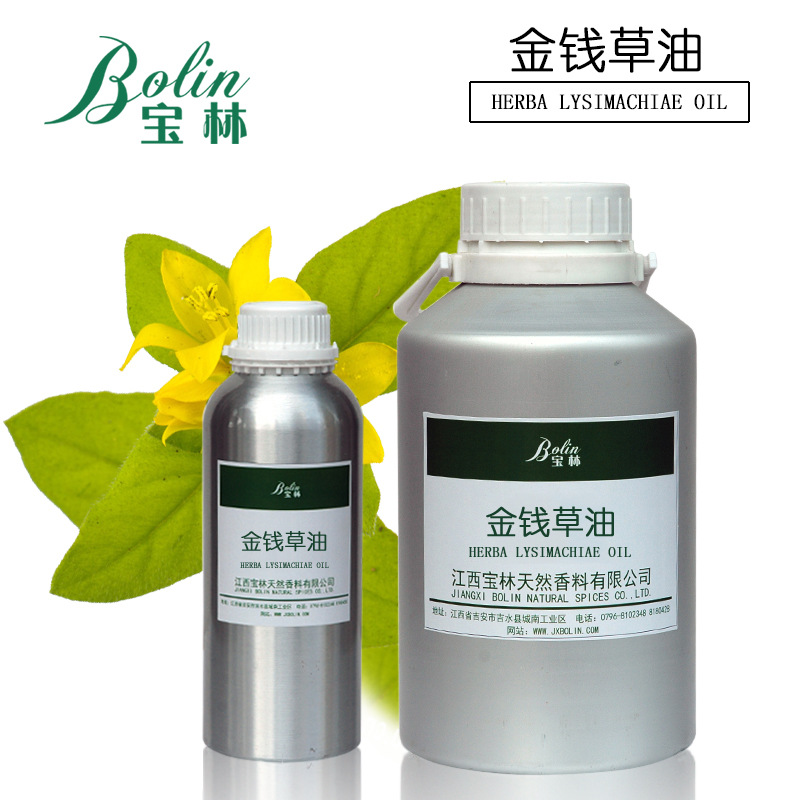 厂家批发 金钱草油 大金钱草油 连钱草油 植物提取 小量起批
