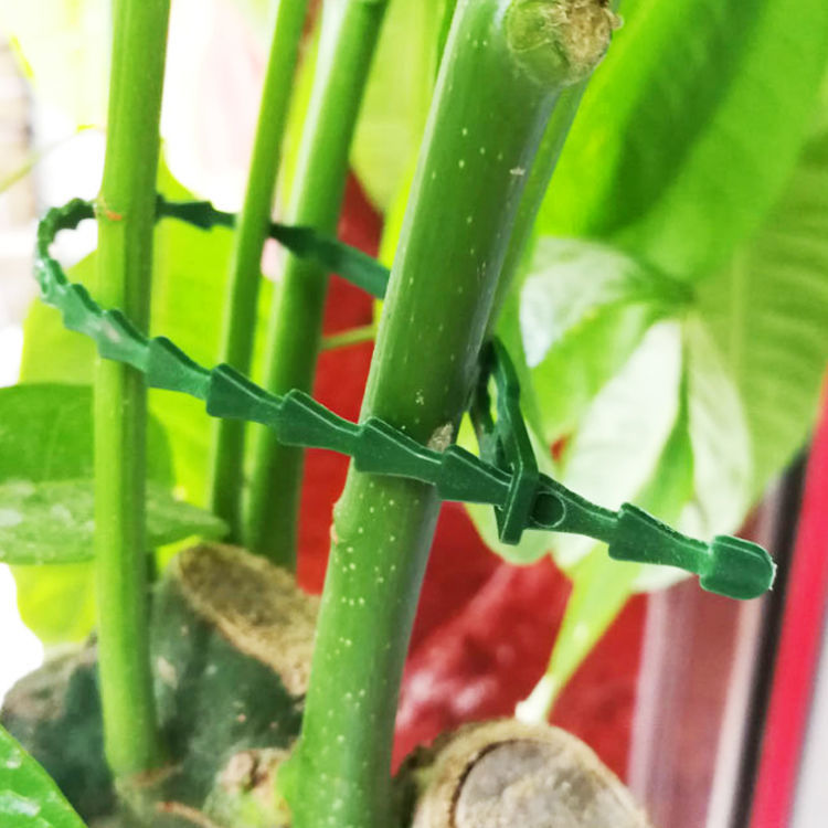 微信图片_20210625222605