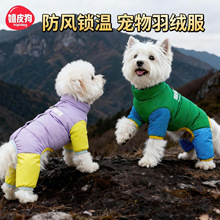 �����·������q�ﶬ�����L��ů̩����С��Ȯ؈�����_������q��