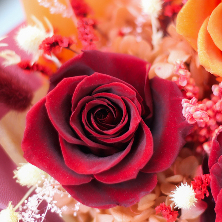 Ramos de flores de Navidad, sorgo, ramos de rosas, regalo de alta calidad para su novia en el día de San Valentín
