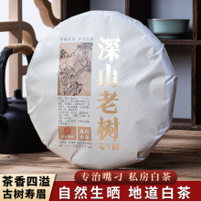 白茶饼 福鼎白茶 老树寿眉紧压2017福鼎大毫茶350g 茶叶批发 超值