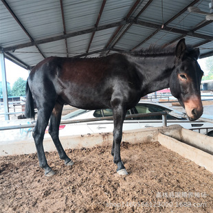 �����H�H������H�������H������С���H���H�� ���^�H