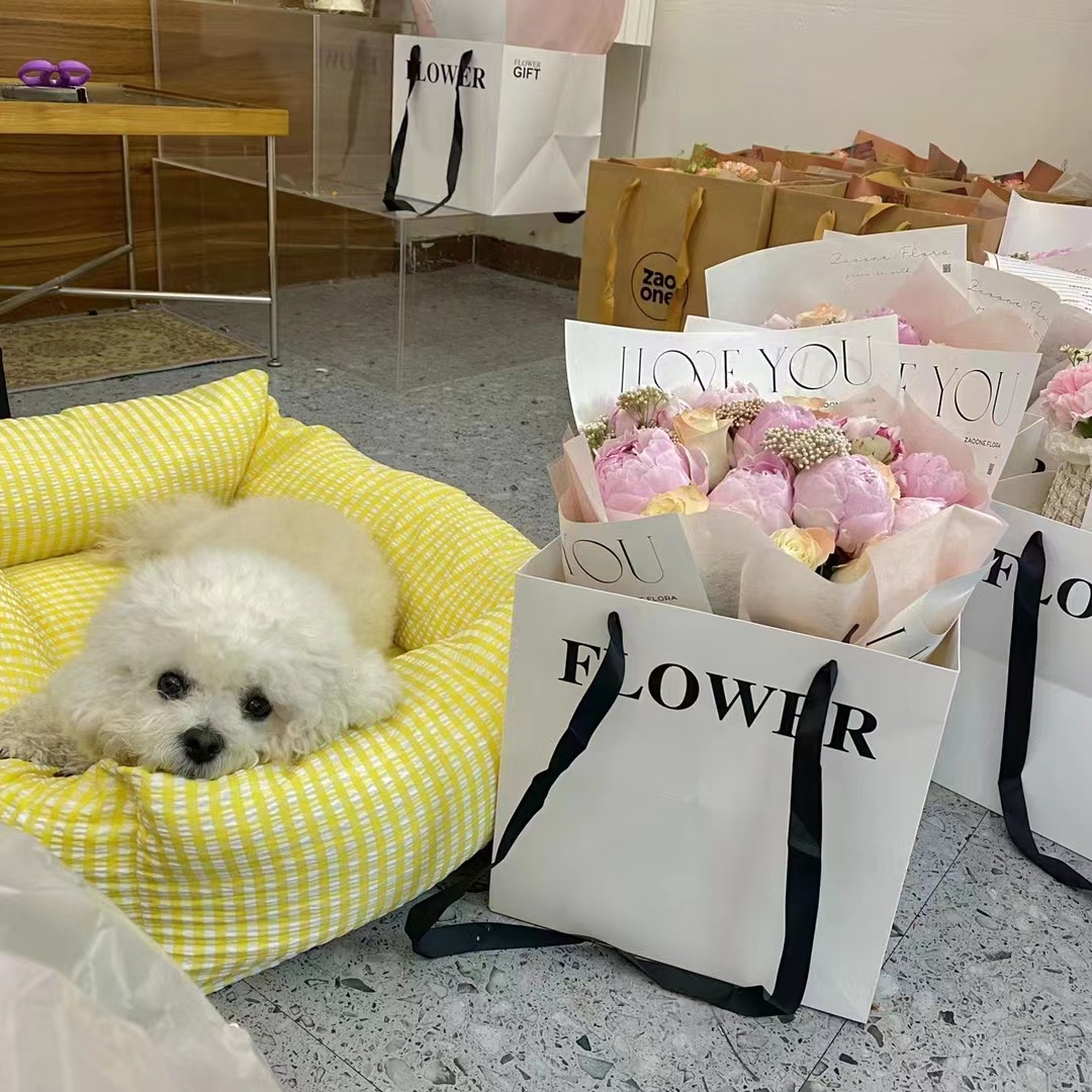 fa33174063a1845a7fa3506c386a52