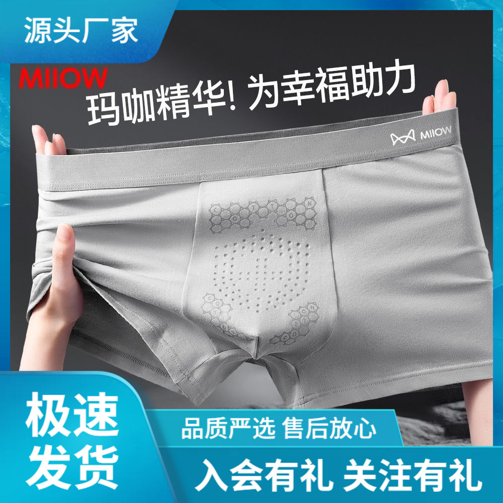 Briefs