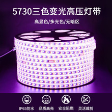 家用led灯带5730三色变光客厅卧室吊顶高压超亮双排户外灯条批发