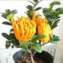 ������Y��������ָ̹���ؔ�������Խ��A�������Ϙ��������Ե���