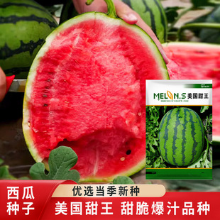 �����������ϷN���s��һ���������ϷN�Ӽtȿ�����֭�Нh����