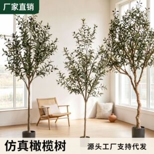 �羳����Gֲ�ϙ��ɲ��������쾰��[���҃ȼҾ��b���٘�