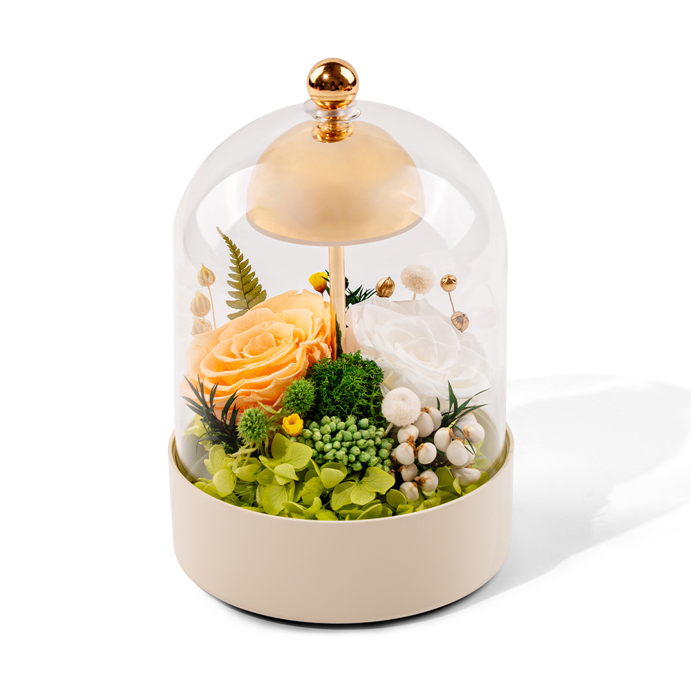Yunnan al por mayor campana de viento eterna flor de vidrio lámpara de escritorio caja de regalo adornos lámparas de noche dormitorio regalo cálido